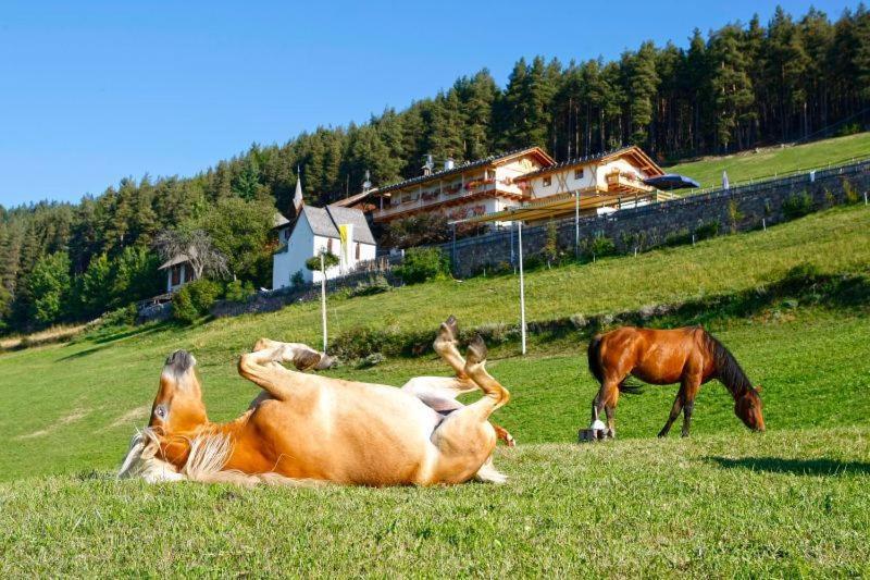 Gasthaus Bad Siess Longostagno Luaran gambar